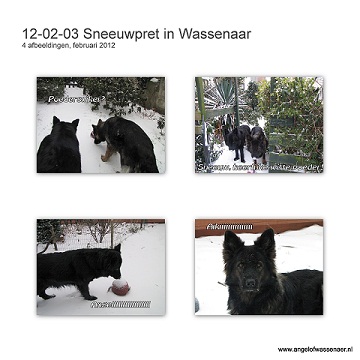Sneeuwpret in Wassenaar